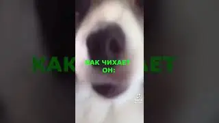 чихаем окуратно, а то дом снесём