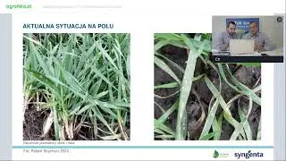 Zabieg fungicydowy T1 - ochrona plonu na starcie