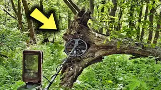 Знахідки  в старому лісі ...Пошук з металошукачем minelab equinox 900