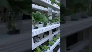 First trial of our hydroponic system