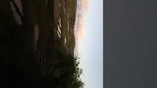 offroad камчатка мтлб-у