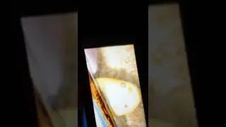 рякцыя на видео дофа угар