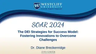 The DEI Strategies for Success Model Fostering Innovations to Overcome Challenges