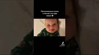Самое милое видео, согласны?