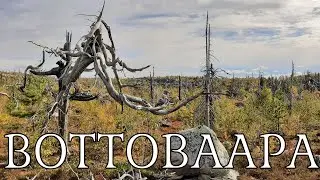 5. Нашли логово шаманов.