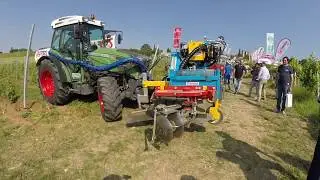 DA ROS green: Vite in campo 2017