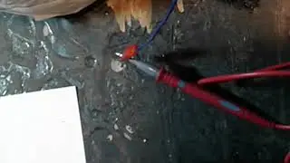 резистор и катушка в жидком озоте