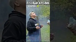 Смешная ИГРА на ВЫБЫВАНИЕ! ПУХЛЫЙ КРОЛИК! НАРЕЗКИ УГАРА Joe Speen IRL 
