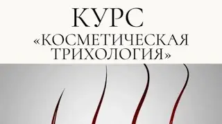 Трихология для брейдера ☝🏼