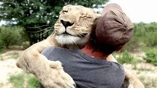 Diese 7 Tiere haben Menschen das Leben gerettet!