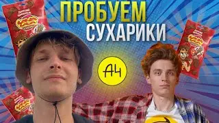ВЛАД А4 ПРОБУЕМ СУХАРИКИ