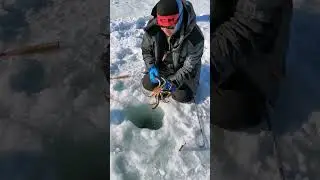 2 марта 2023 г.