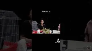 игры габара деньги или жизнь финал 4сезона острый орешек Александра Софья Мартынова и Регина