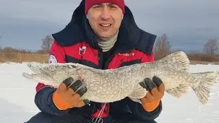 Первый лёд, ЩУКИ на жерлици порадовали!