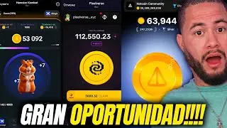 Perdiste NOTCOIN y HÁMSTER KOMBAT? NUEVA OPORTUNIDAD!!! PIXELTAP!!!