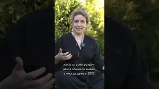 Для чего ходить на ретриты?