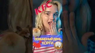 Международный день корги🐶 #china #shortsvideo #shorts #корги #праздник #2024