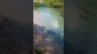 Кленовая гора