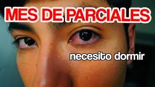 Junio me tiene c*gando | Estudiante universitario resume su mes de parciales