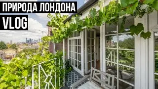 ПОДГОТОВКА К ПЕРЕЕЗДУ 🌳 ЛЕТНИЙ ЛОНДОН 🌴