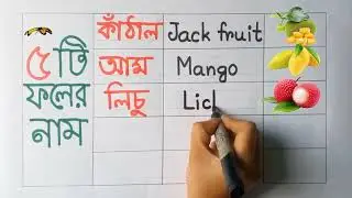 Fruits Name in English & Bangla | 5 ti foler name
