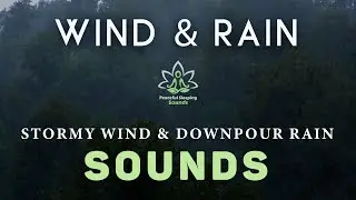 Sleep instantly with Wind & Rain Sounds For Sleeping - Stormy Winds & Downpour Rain