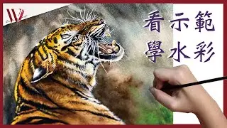 Painting a Realistic Tiger in Watercolor- Windy Shih