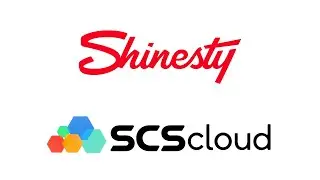 SCS Cloud NetSuite Case Study - Shinesty