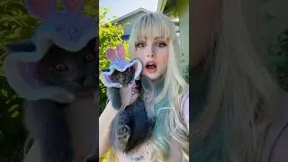 SOMBREROS para GATITOS BEBÉS!! 😱👒🐱