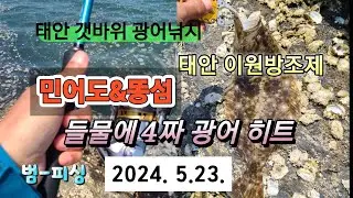 태안 이원방조제 민어도&똥섬 들물에 4짜 광어 히트~