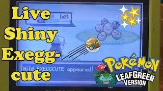 [Safari Week 2017 #1] Live!!! Shiny Exeggcute after 5,264 REs!! (Win or Fail?)