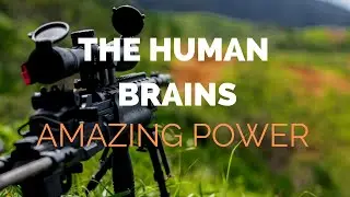 The Human Brain's Amazing Power
