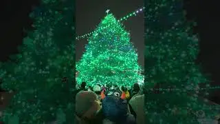 Stillwater Minnesota Christmas Tree Lighting $ Fireworks
