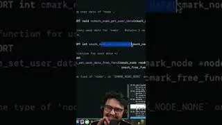 TFW a parser supports adding user data to nodes | kristoff_it on #Twitch