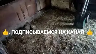 Чистим свинарник😀Где мы потерялись🤔