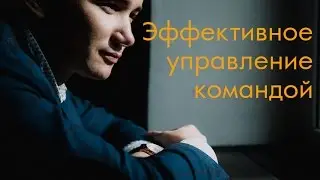 Эффективное управление командой