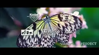 Final Seconds of End Credits Transitioning Over Beautiful Gardens - Series 9 Set 6