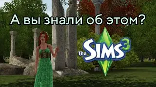 Details in Sims 3 that I didn't notice