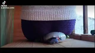 Снеговик не выдержал
