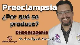 PREECLAMPSIA Why does it occur? Integrated vision of the ETIOPATHOGENESIS. Angiogenic factors.