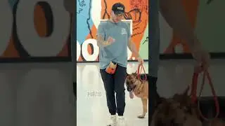Teach your dog to walk nicely without the leash!🤯