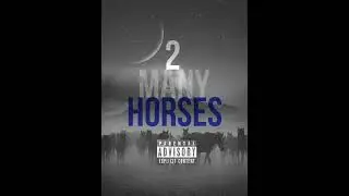 Lil sinn - 2 many horses
