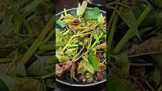 Stir fry sweet potato leaves is so healthy & delicious 😋 #sweetpotatoleaves #stirfryvegetables