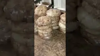 у Мамы на работе