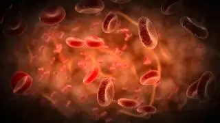 Bloodcell - video designed by dreamscene.org