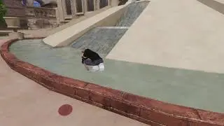 Tony Hawk's Pro Skater VRChat