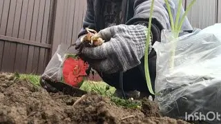 Суббота в пролёте 😒 Света не было и дела шли 😂 Влог
