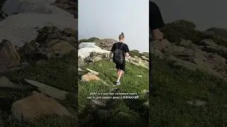 Что это если не реальность?