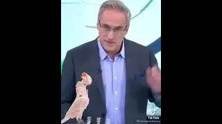 Про говорящего попугая! Анекдоты от Норкина! 