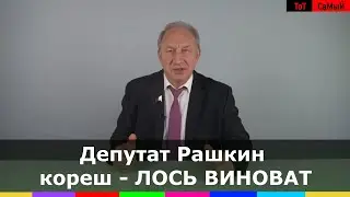 Депутат Рашкин на своём YouTube опубликовал видео, в котором признался, что это он убил лося